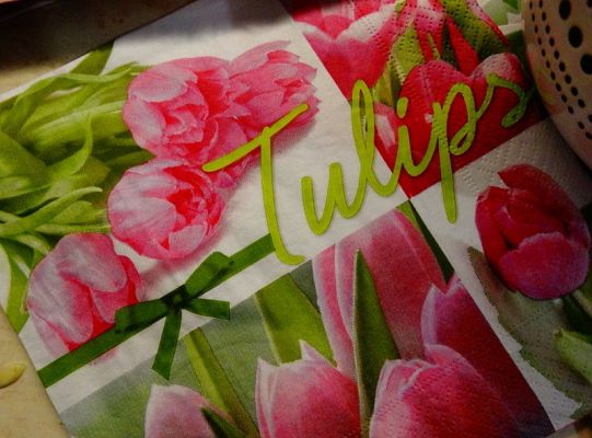 Jak przygotować tulipanowe chłodniki?
