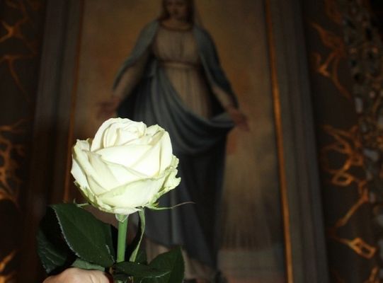 Róża dla Matki z Jakuba! Bez mody!